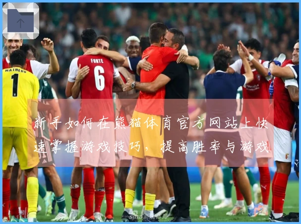 新手如何在熊猫体育官方网站上快速掌握游戏技巧，提高胜率与游戏体验