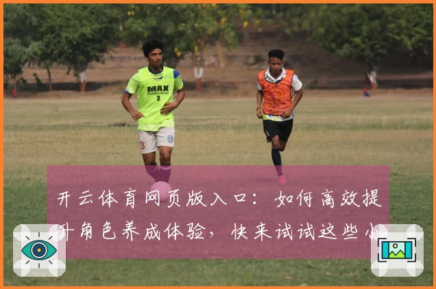 开云体育网页版入口：如何高效提升角色养成体验，快来试试这些小技巧吧！