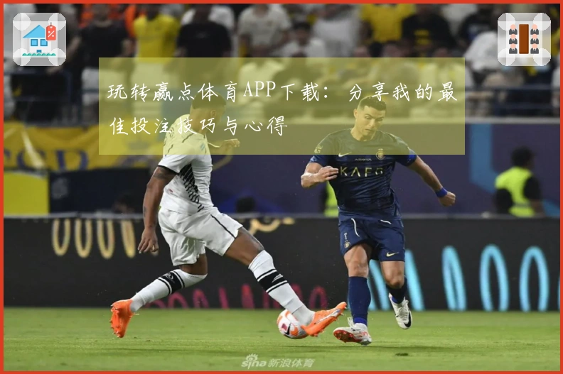 玩转赢点体育APP下载：分享我的最佳投注技巧与心得