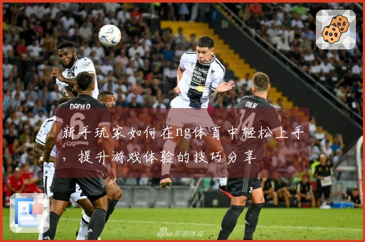 新手玩家如何在ng体育中轻松上手，提升游戏体验的技巧分享