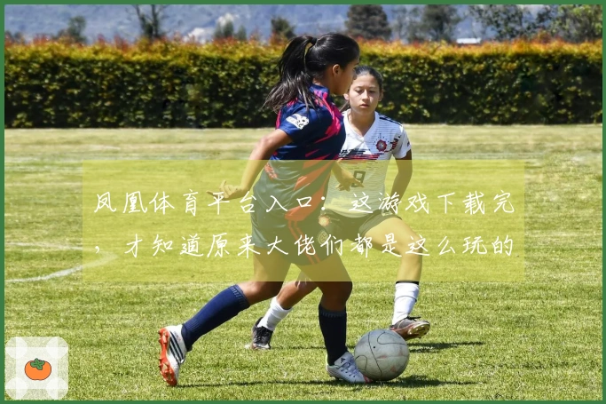 凤凰体育平台入口：这游戏下载完，才知道原来大佬们都是这么玩的！